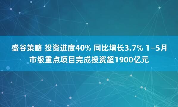 盛谷策略 投资进度40% 同比增长3.7% 1—5月市级重点项目完成投资超1900亿元