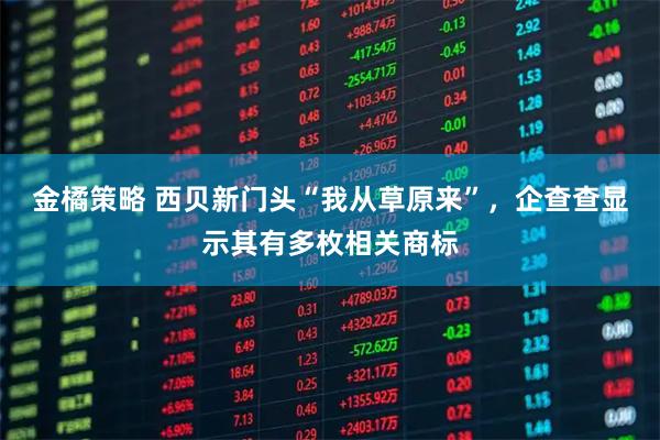 金橘策略 西贝新门头“我从草原来”，企查查显示其有多枚相关商标