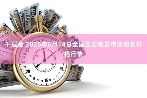 千层金 2025年6月14日全国主要批发市场油菜价格行情