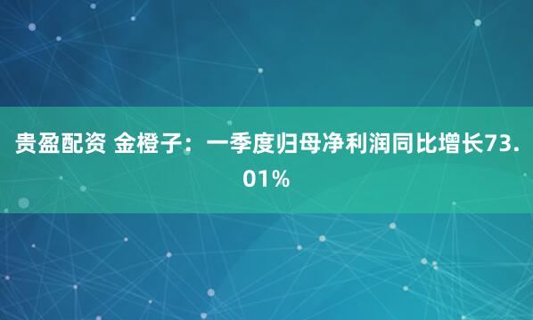 贵盈配资 金橙子：一季度归母净利润同比增长73.01%